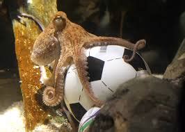 octopus jackpot prediction»1X2X21X.